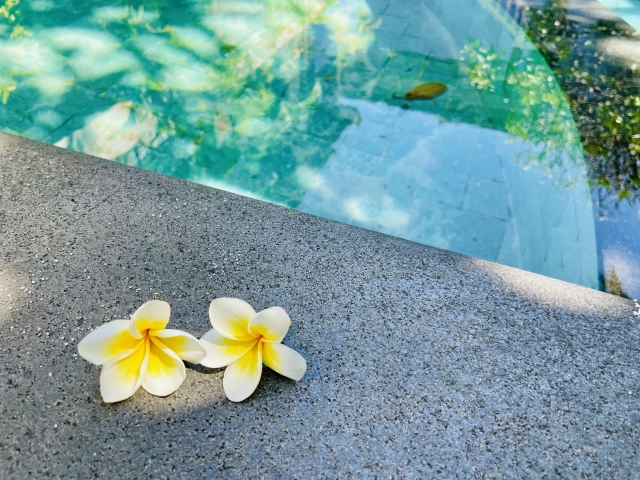 セラピストになるから開業するまでのパートＳ　メニューについて