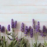 ラベンダーが!!